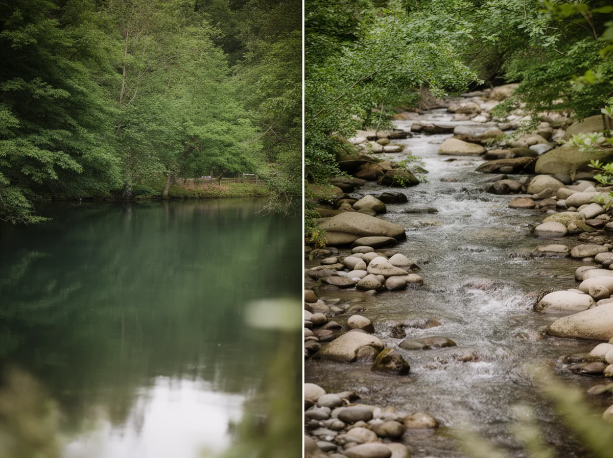 Split image showing a calm forest lake on the left and a rocky stream flowing through green trees on the right.