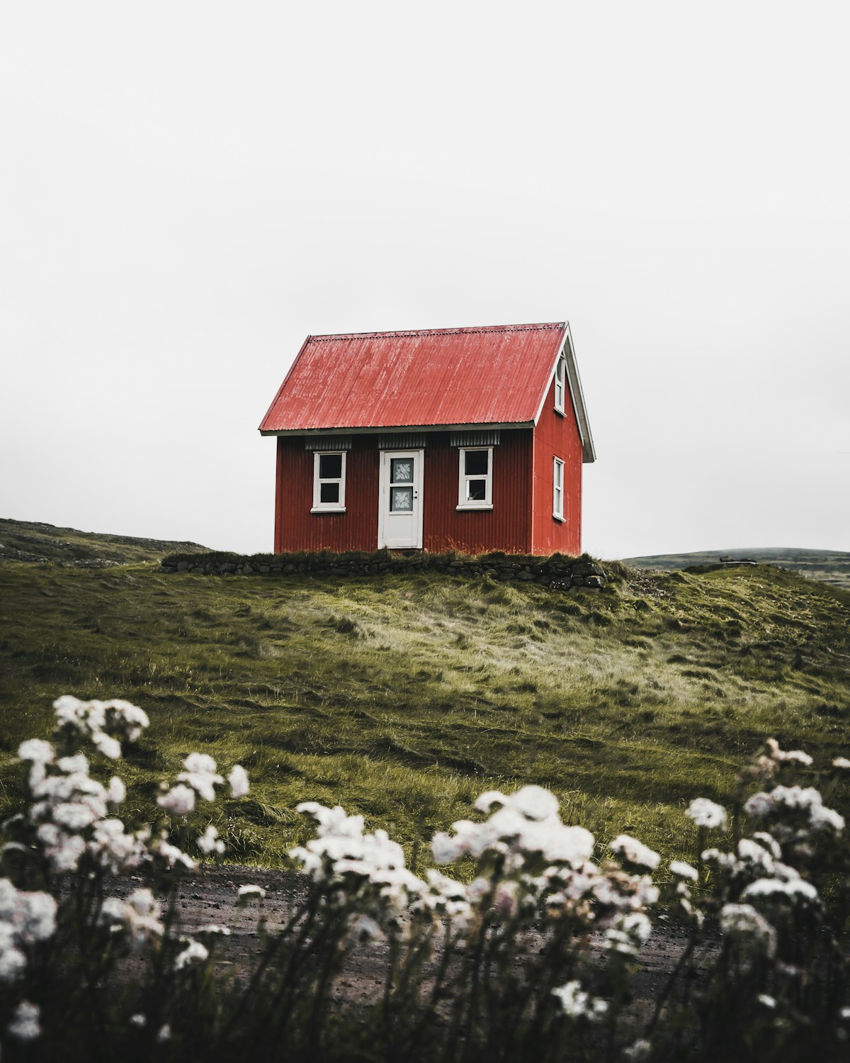 A small red house with a white door and windows sits on a grassy hill, with white wildflowers in the foreground under an overcast sky.